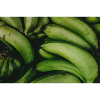 Green Banana (6)-6449530-53346.webp